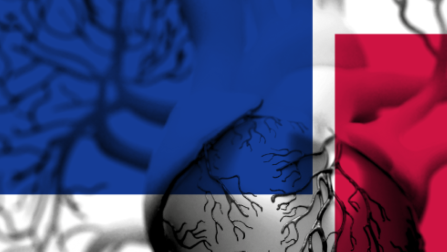 ht2024-16zu9-003-871x490