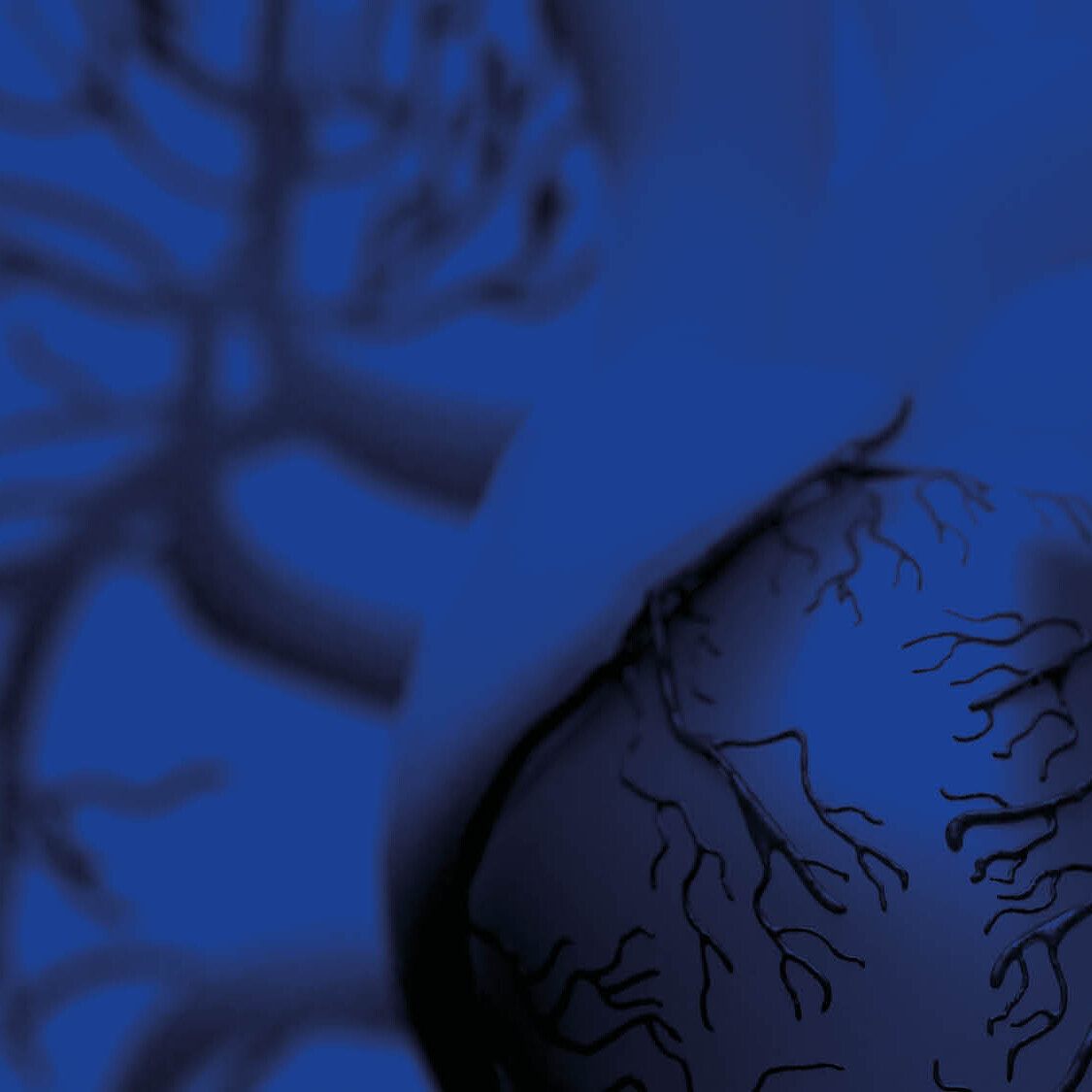 ht2024-heroteaser-002-1920x540