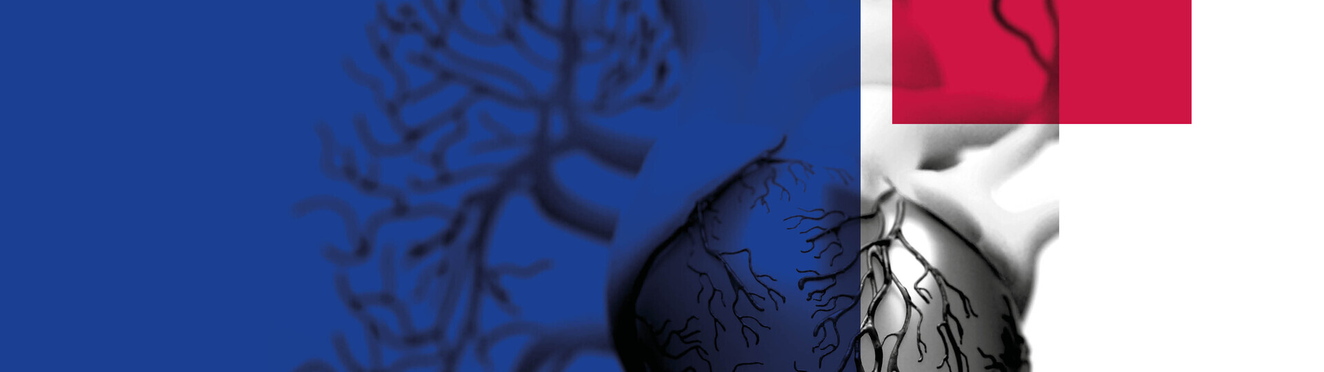 ht2024-heroteaser-002-1920x540