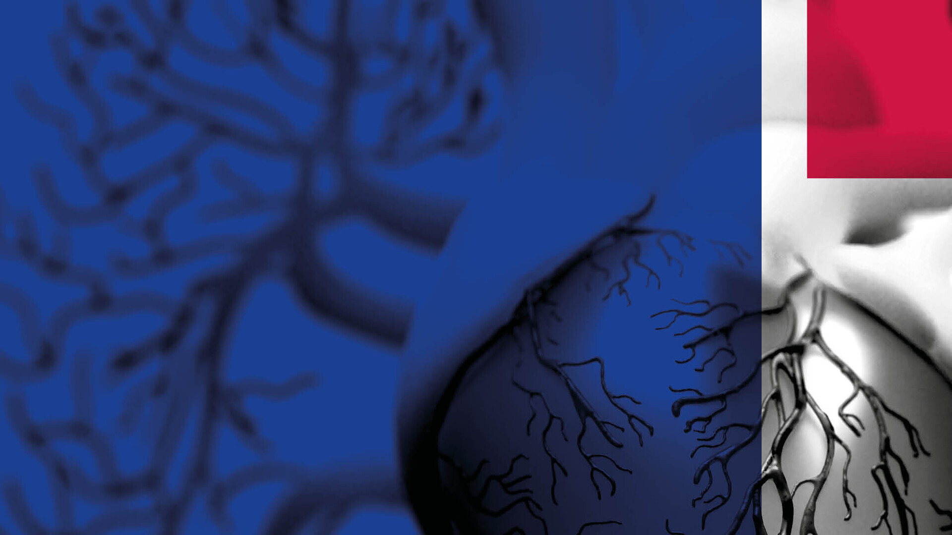 ht2024-heroteaser-002-1920x540