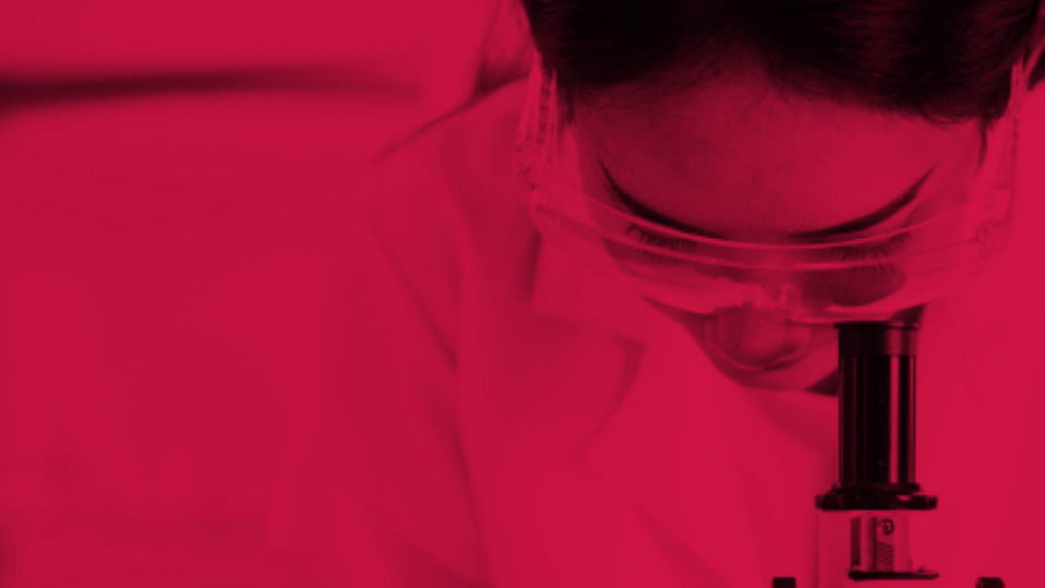 dgk-jahrestagung-2024-1920x540-01