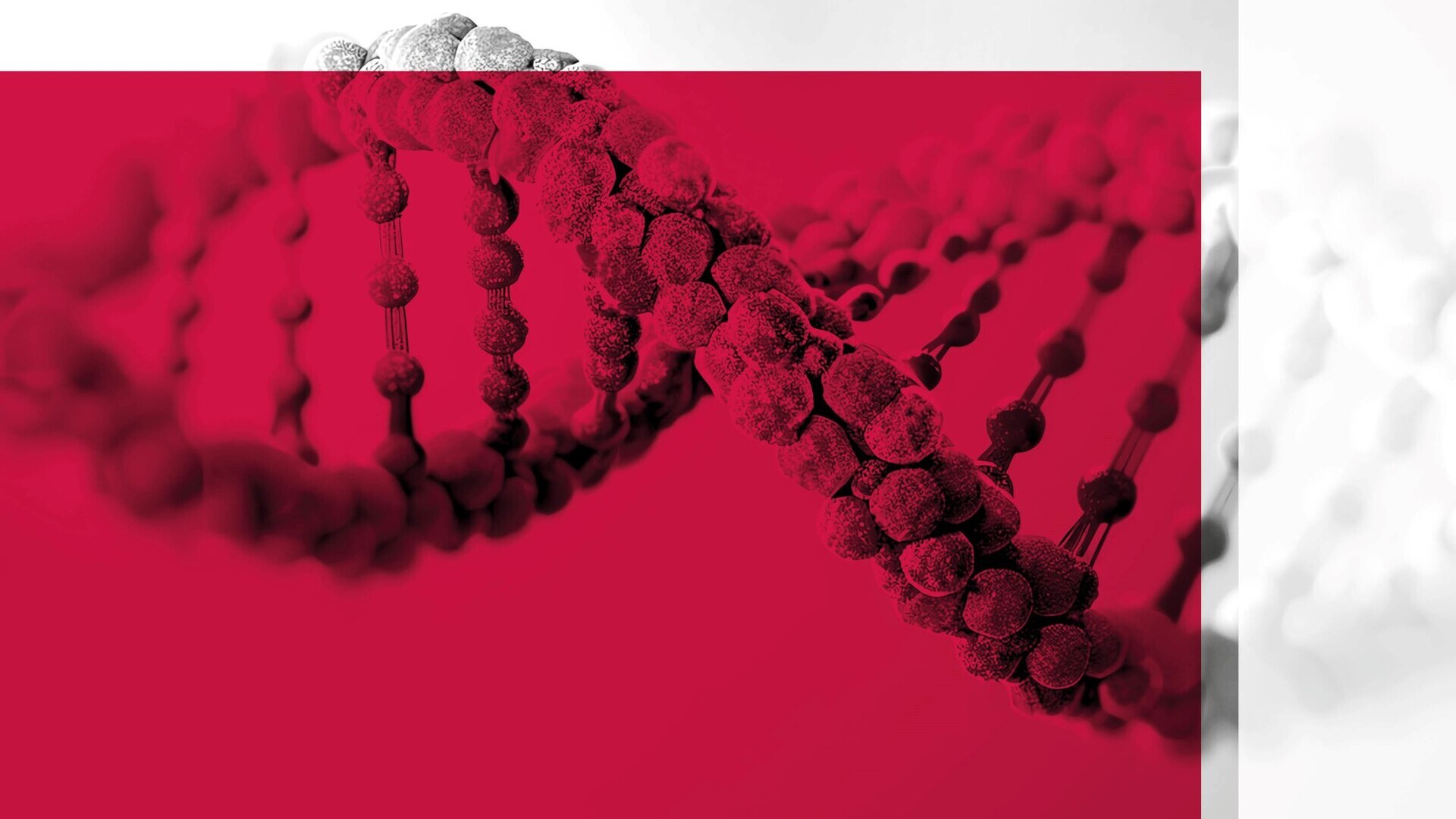 2025-JT_HM_ASSET_1920 x 1080_16by9-07