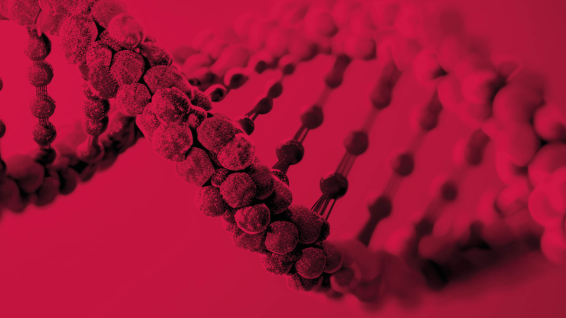 2025-JT_HM_ASSET_1920 x 540_Hero-02