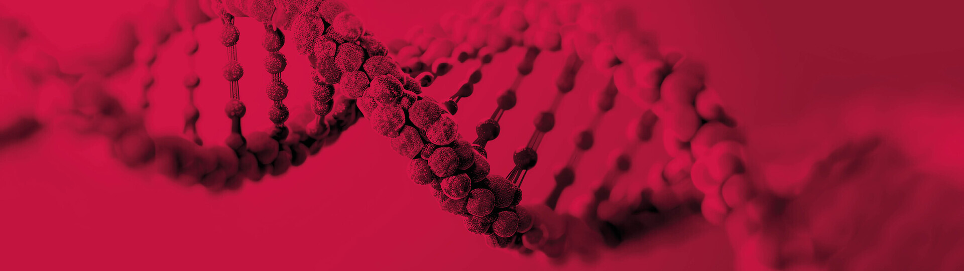 2025-JT_HM_ASSET_1920 x 540_Hero-02