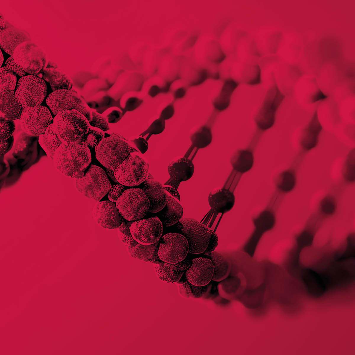 2025-JT_HM_ASSET_576 x 576_1by1-01