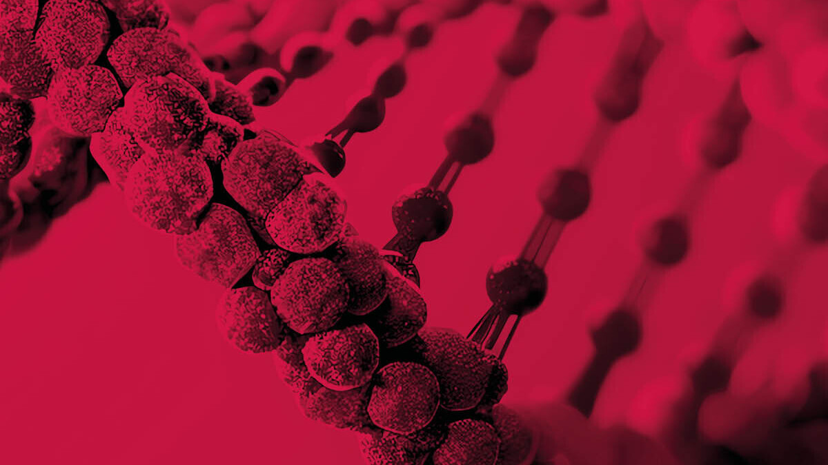 2025-JT_HM_ASSET_576 x 576_1by1-01