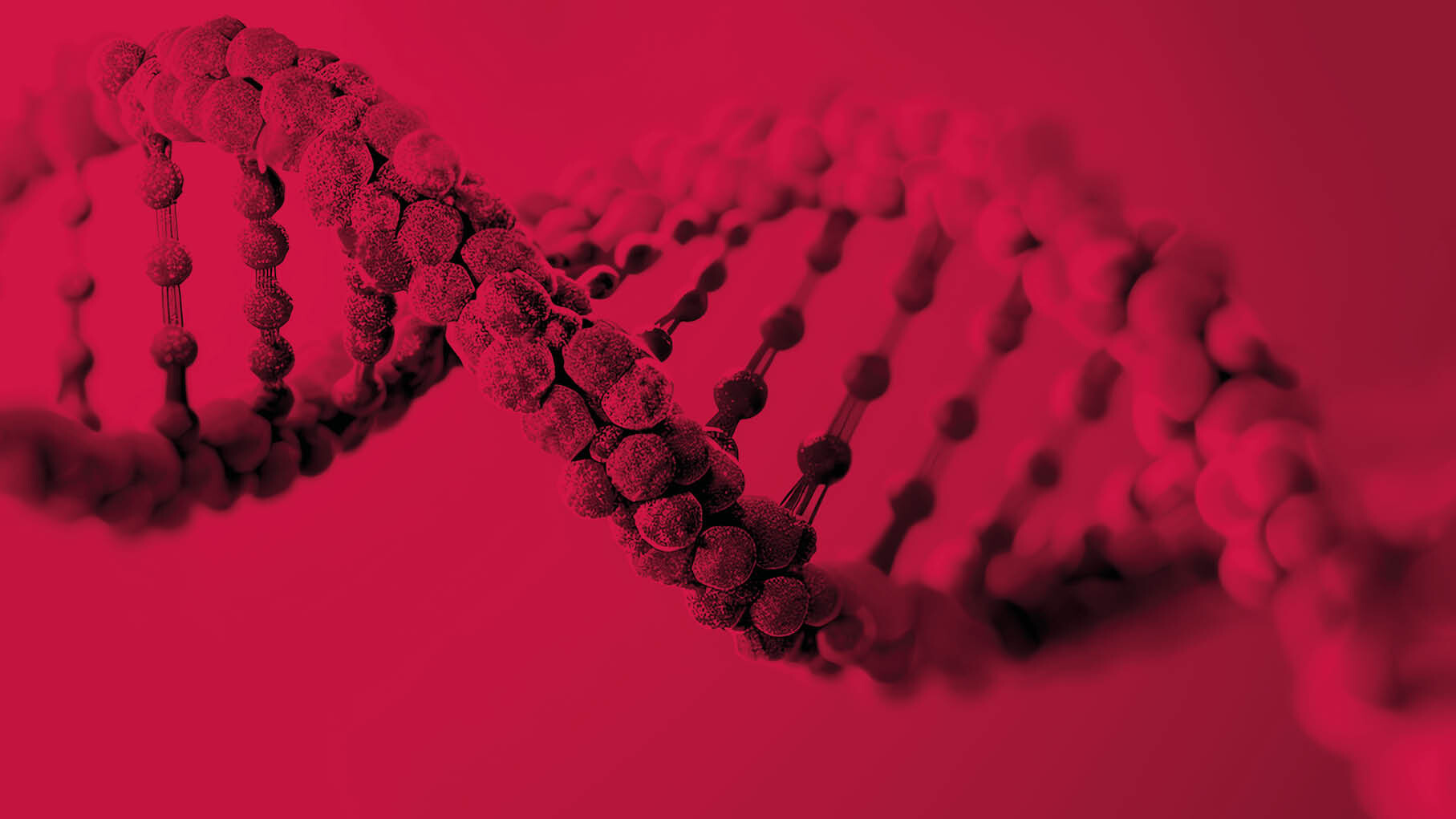 2025-JT_HM_ASSET_871 x 490_16by9-01