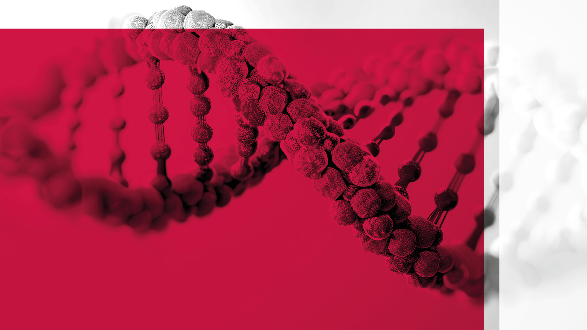 dgk-jahrestagung-2025-1920x1080-16by9-07