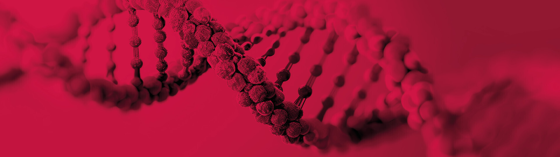 dgk-jahrestagung-2025-1920x540-Hero-02