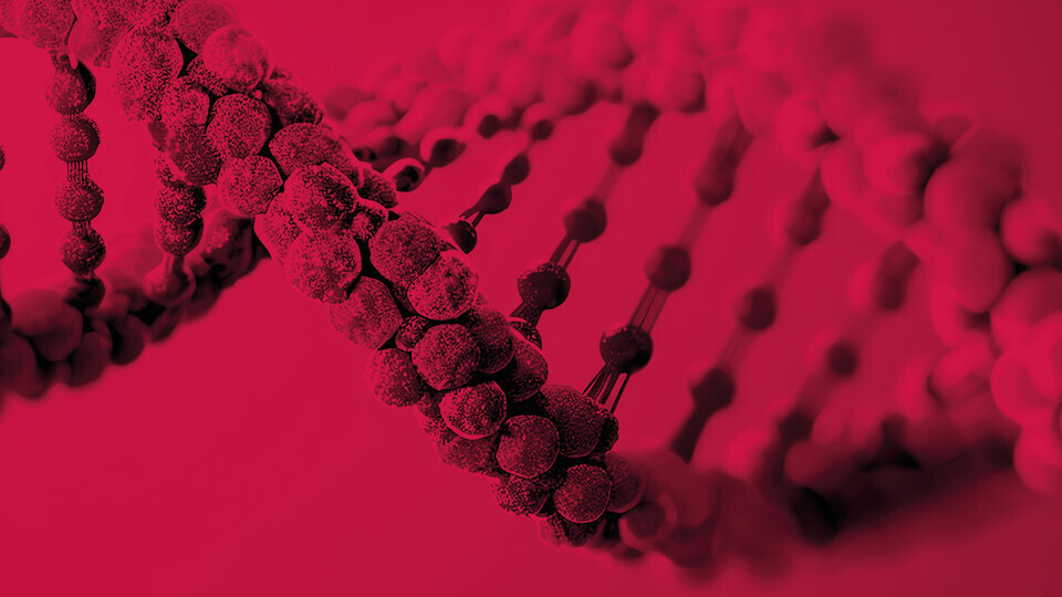 dgk-jahrestagung-2025-1920x540-Hero-02