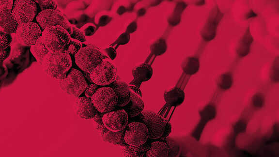 dgk-jahrestagung-2025-576x576-1by1-01