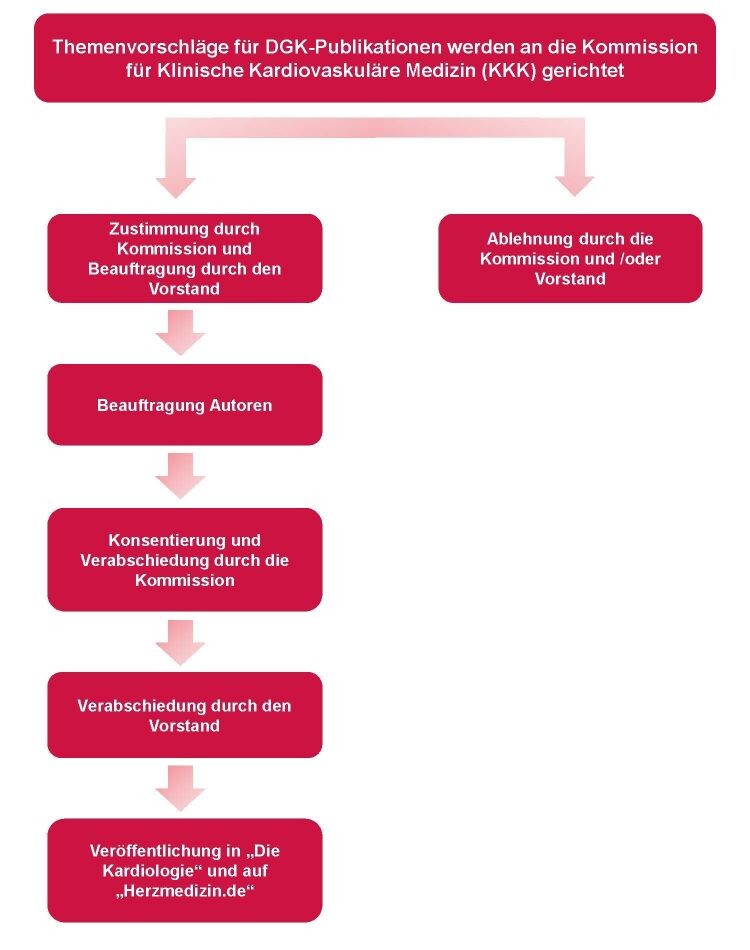 Begutachtungsprozess_Schaubild