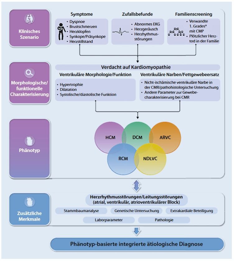 esc-leitlinien-2023-kardiomyopathien