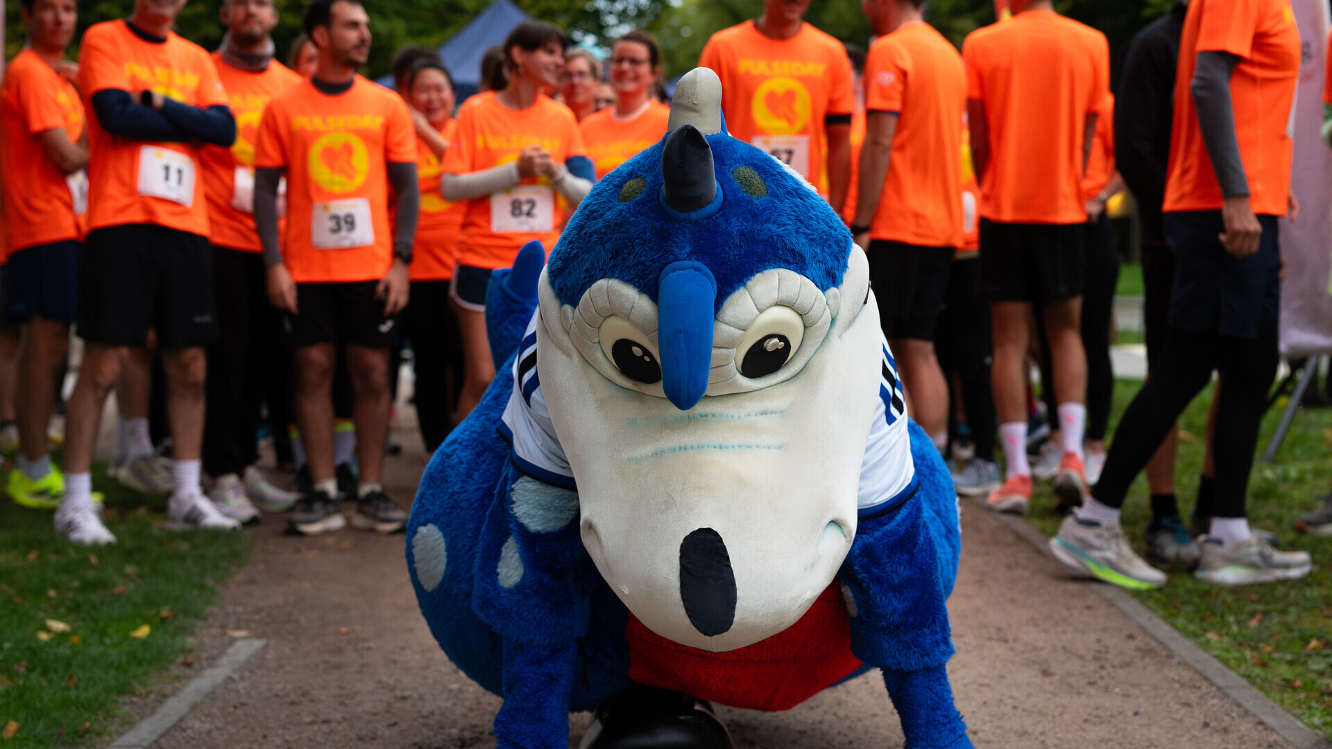 pulseday-run-hermann-knieend  