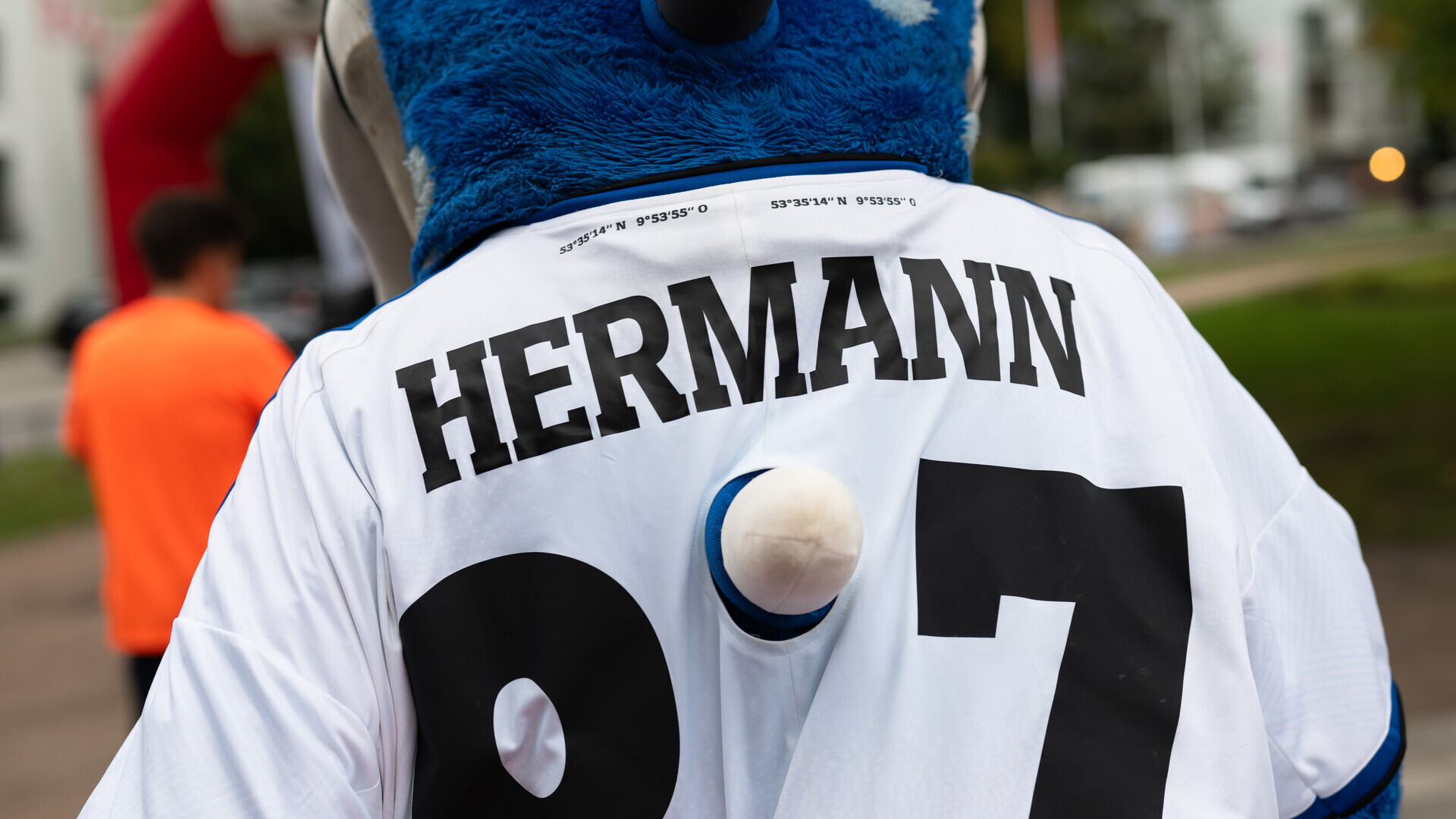 pulseday-run-hermann 