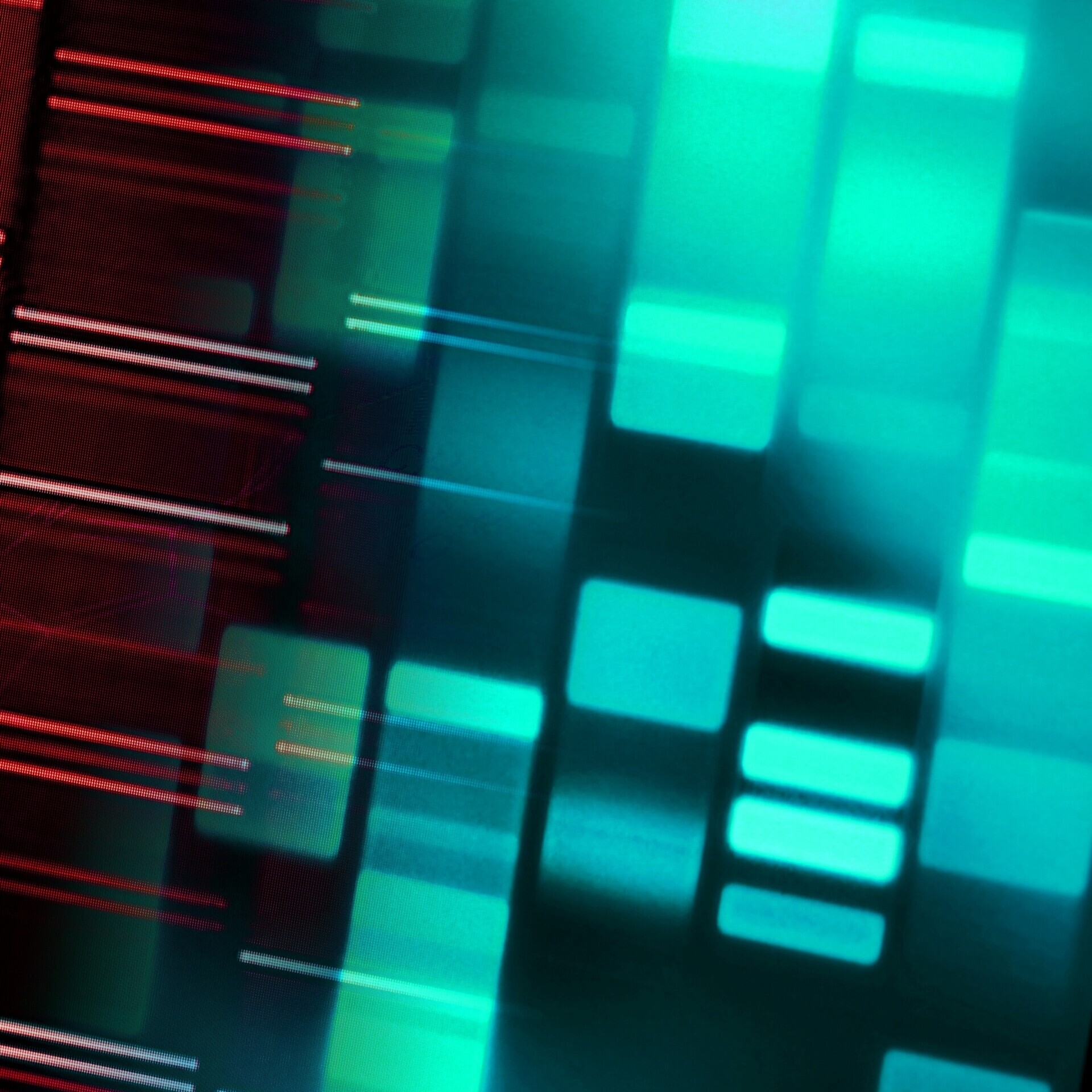 DNA-Daten als Symbol für Grundlagenforschung