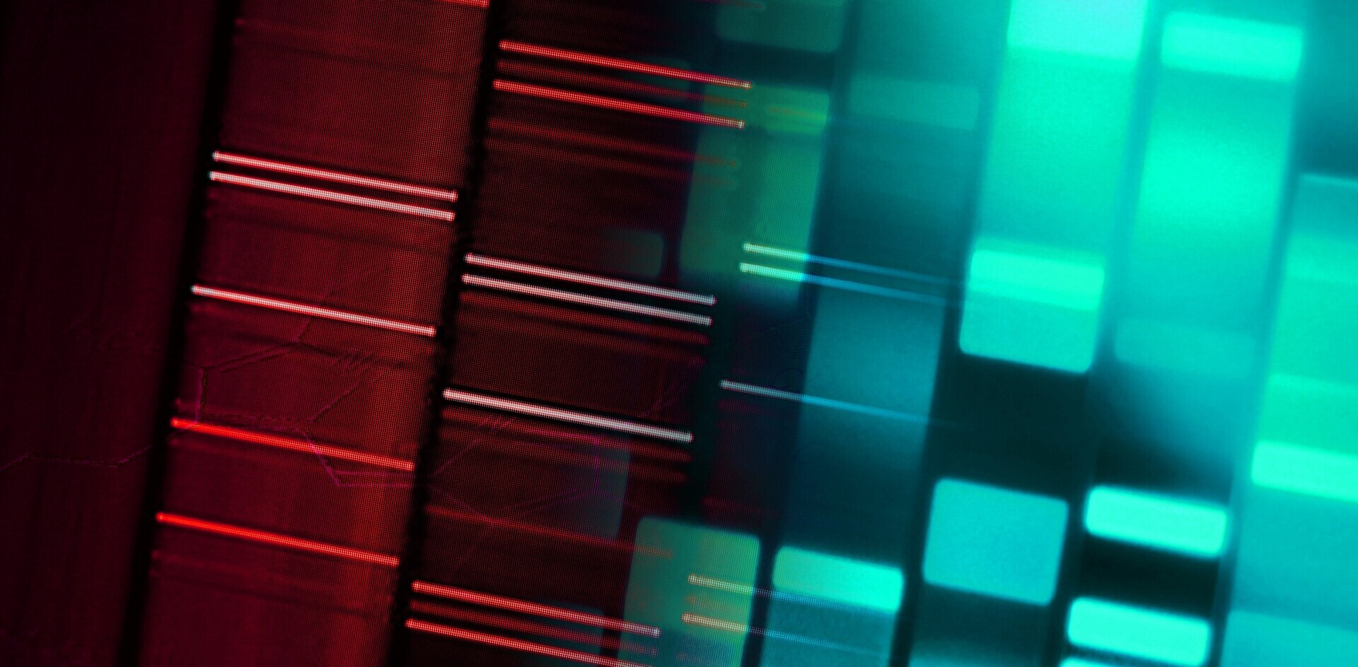 DNA-Daten als Symbol für Grundlagenforschung