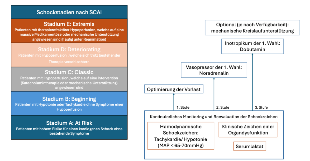 Einteilung der Schockstadien nach SCAI sowie Therapie nach Stufenschema