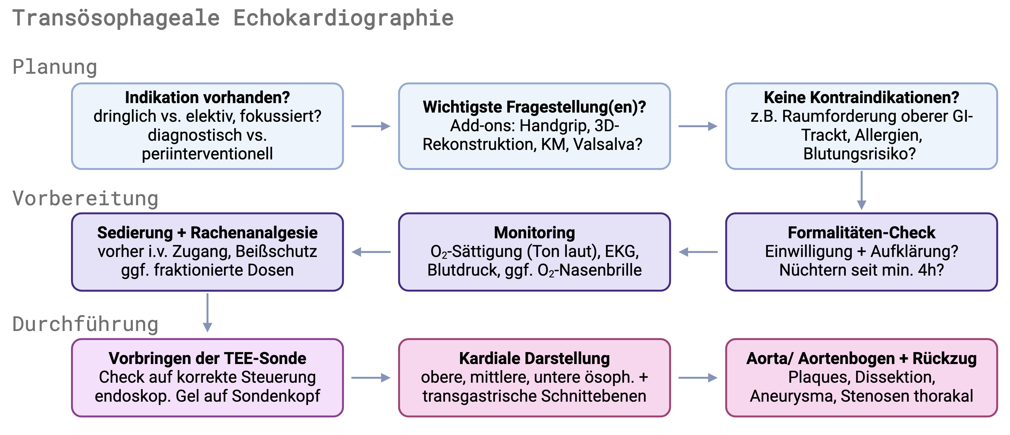 youngsforyoung-tee-prozessgrafik-2025