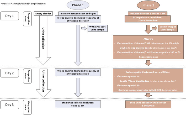 neue-diuretika-strategie-enact-hf-studie