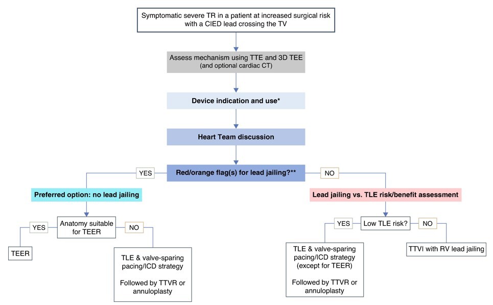 algorithm-management-of-ttvi-candidates-deharo-et-al-2025