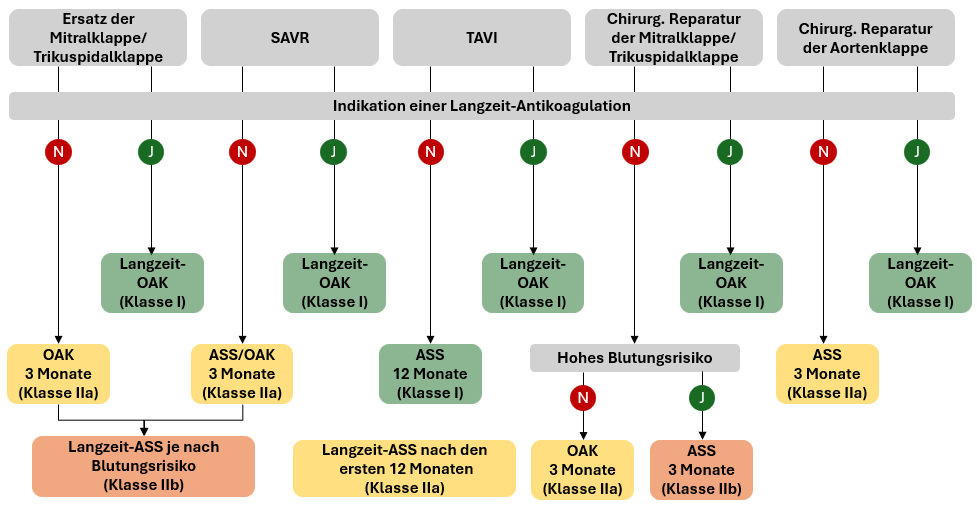 antikoagulation-nach-reparatur-implatation-herzklappen