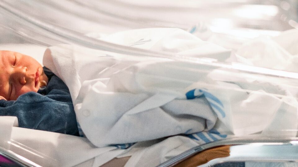 baby-hcm-shutterstock-1103569475-Header-Image-32zu9-1920x540a