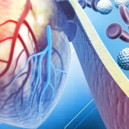 cholesterin-shutterstock_2251358817-header