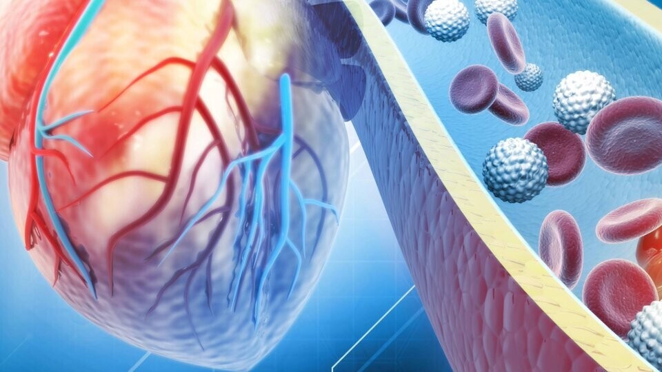 cholesterin-shutterstock_2251358817-header