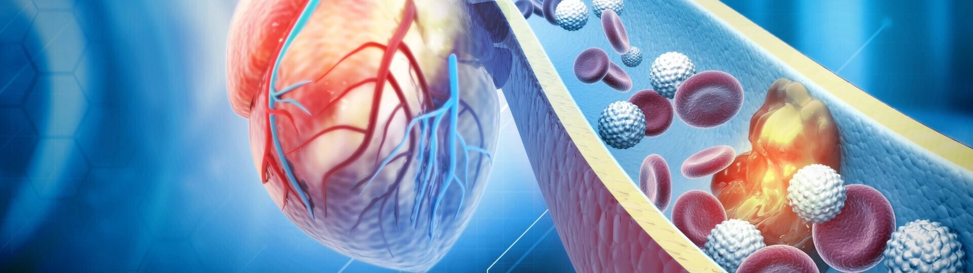 cholesterin-shutterstock_2251358817-header