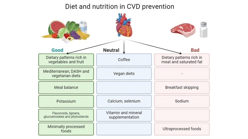 Übersicht zu Ernährung in kardiovaskulärer Prävention