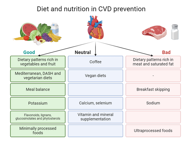 Übersicht zu Ernährung in kardiovaskulärer Prävention