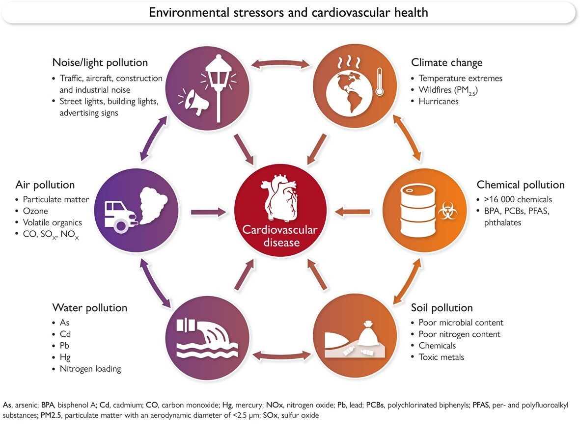 Environmental stressors and cardiovascular health