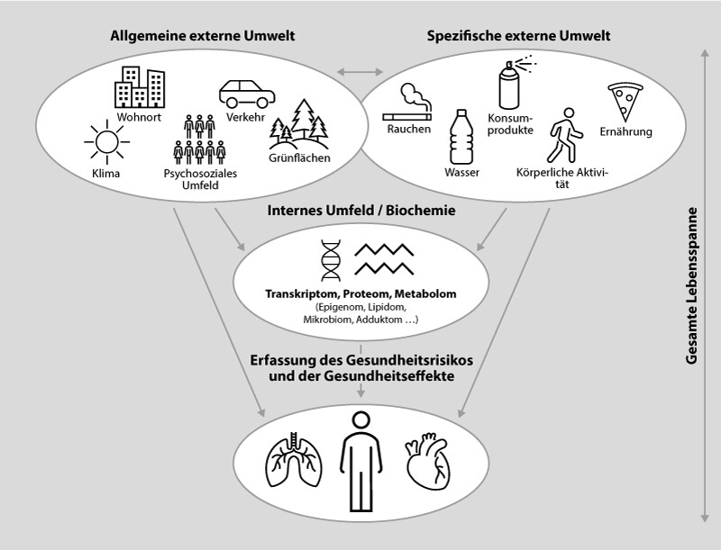Exposom-Übersicht-800x611px