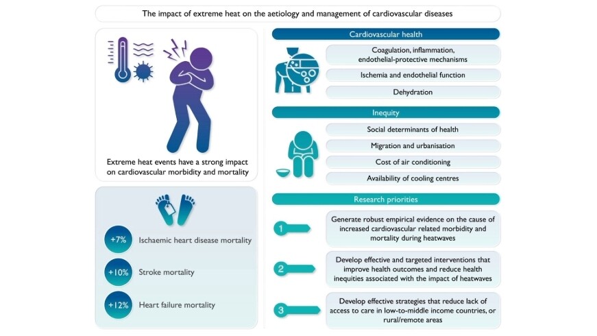 impact-of-extreme-heat-on-cardiovascular-diseases-16zu9-871x490