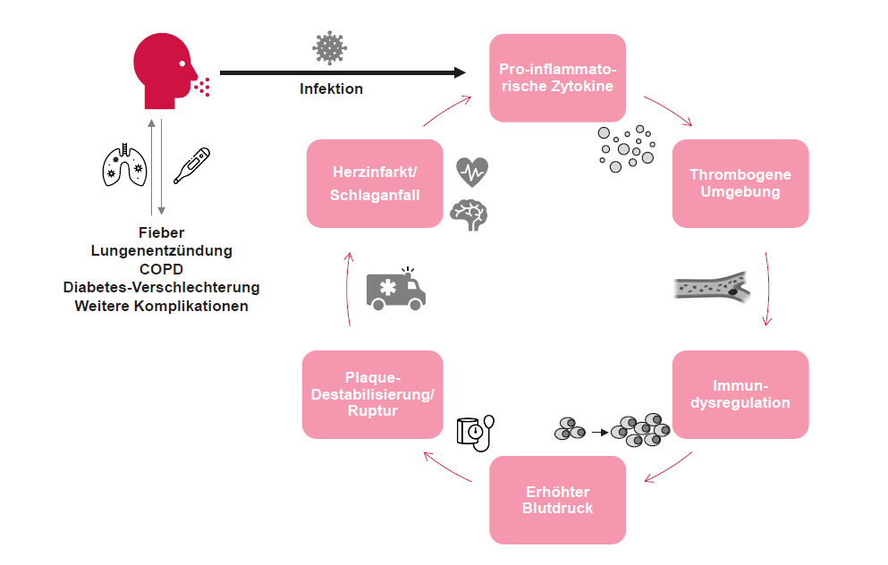 kardiovaskulaeres-risiko-infektion-impfen