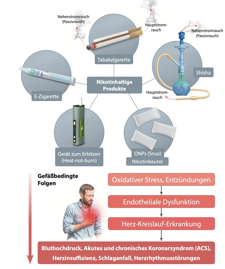 Nikotinprodukte und kardiovaskuläre Folgen