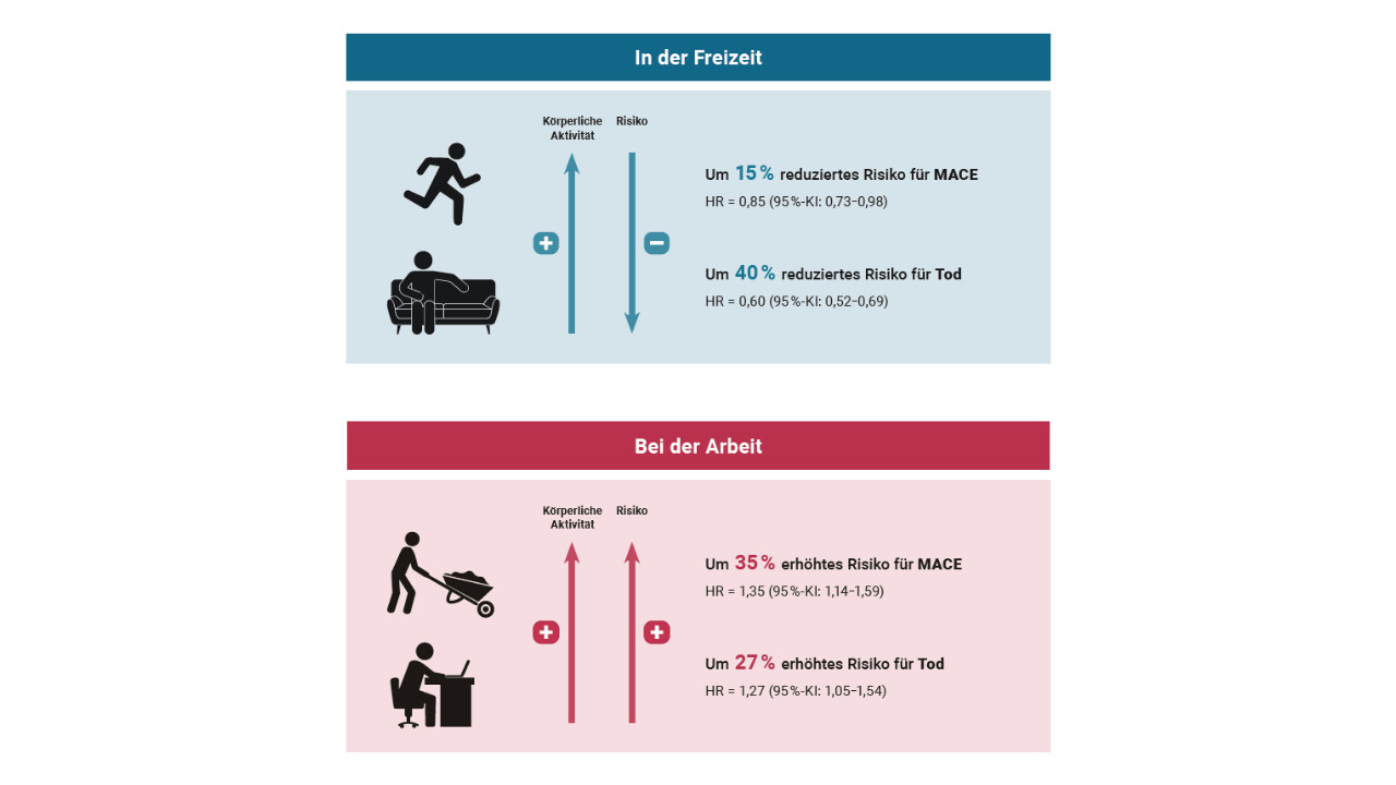 physical-activity-paradox-16zu9-1280x720