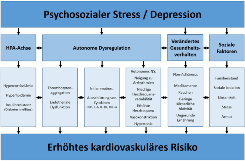 Psychokardiologie