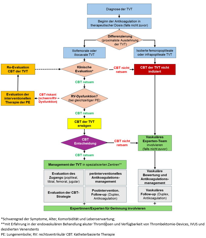 therapie-algorithmus-behandlung-akute-tvt