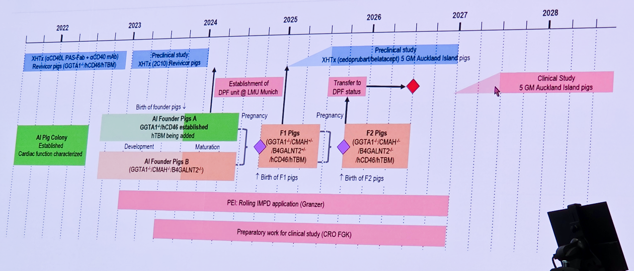 Roadmap für die Entwicklung der Xenotranplantation.