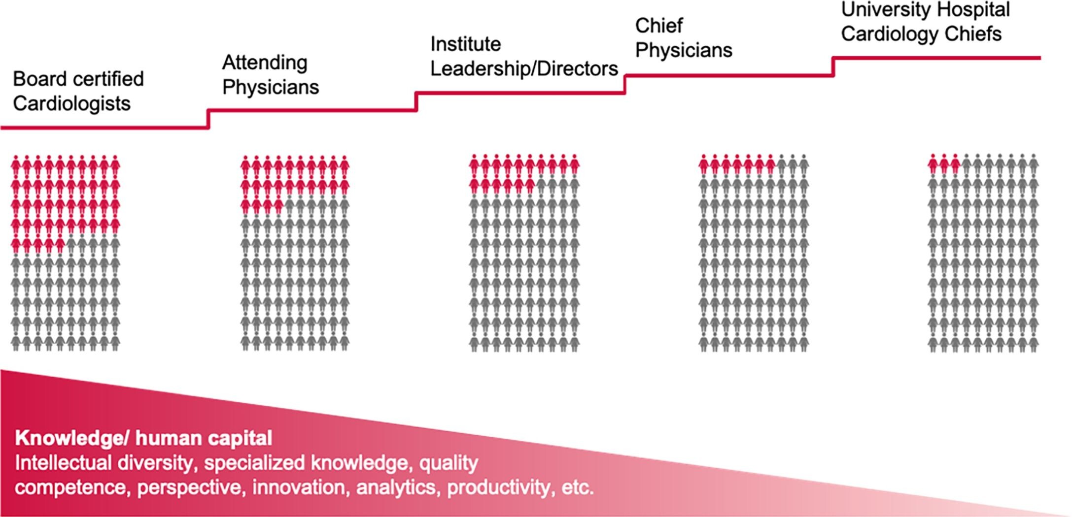kardiologie-dgk-leaky-pipeline-lerchenmueller-et-al-2023