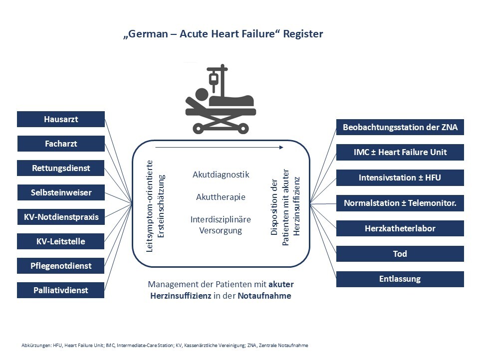 Schaubild German Acute Heart Failure Register