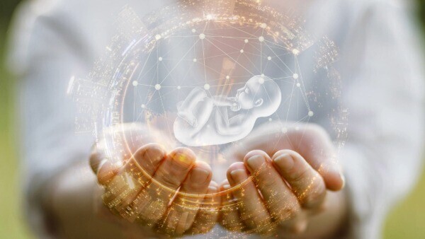 schwangerschaft-mutterschutz-shutterstock_2456623119-16zu9-600x338