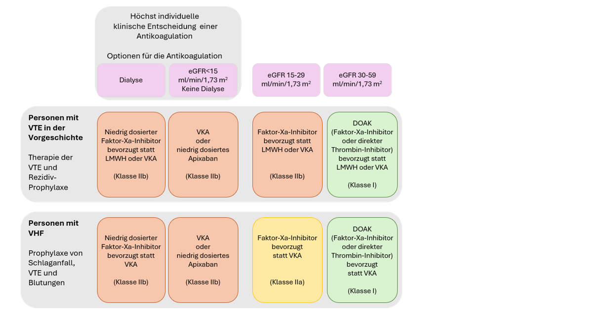 Therapie Leitlinie CVD CKD