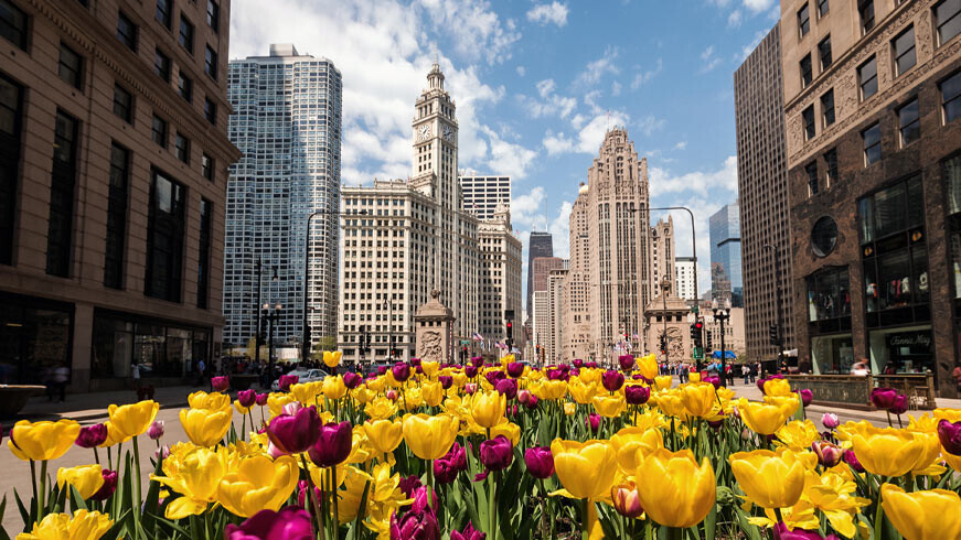 chicago-shutterstock-419035912-16zu9-871x490px