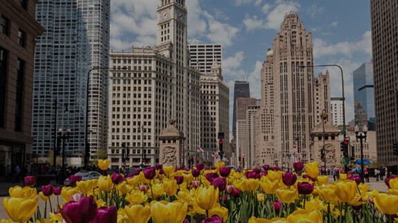 chicago-shutterstock-419035912-1zu1-576x576px-dunkel