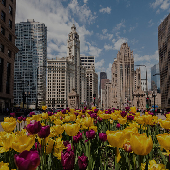 chicago-shutterstock-419035912-1zu1-576x576px-dunkel