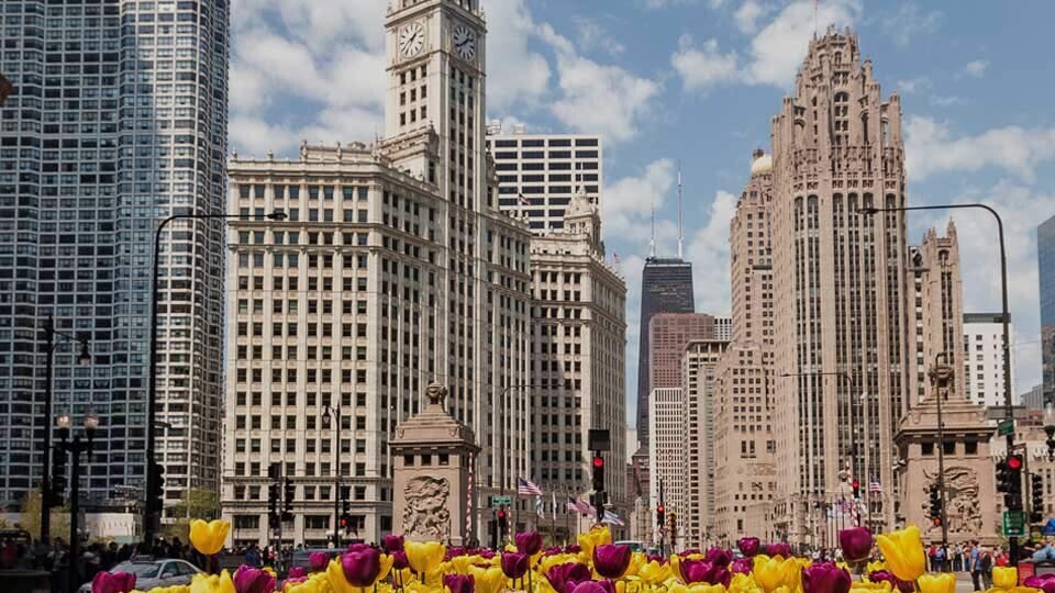 chicago-shutterstock-419035912-32zu9-1920x540px-dunkel1