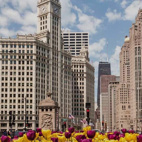chicago-shutterstock-419035912-32zu9-1920x540px-dunkel1